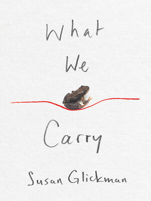 cover image of What We Carry